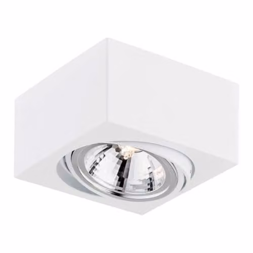 Netlighting Rodos Adjustable Surface Mounted Downlight in White and Wood