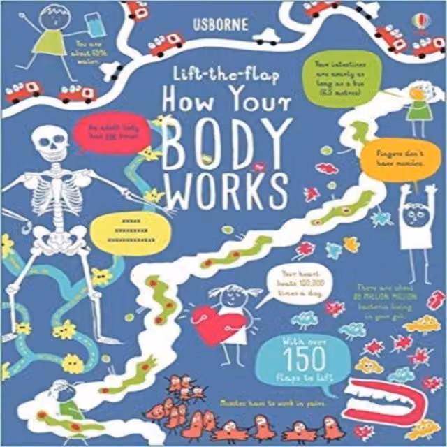 How Your Body Works Lift-the-Flap Board Book by Rosie Dickins, Multicolour