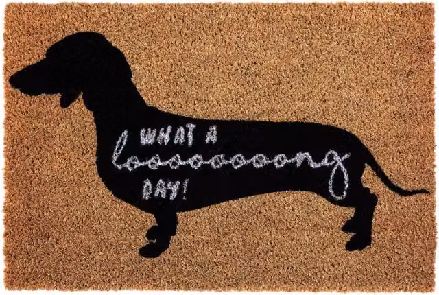 Orsina What A Long Day Sausage Dog Doormat, Humorous Coir and PVC Mat with Dachshund Print, W/D/H: 100 x 60 x 2 cm