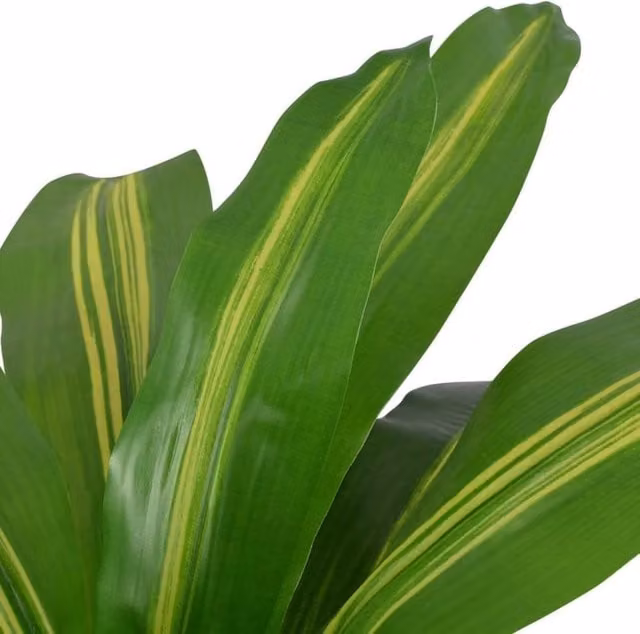 Berkfield Home Artificial Potted Dracaena Plant in Green and Yellow, Height: 90 cm – 1