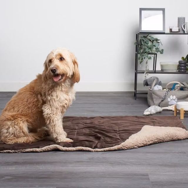 Brentfords Brown Plain Fluffy Fleece Throw, Width: 150 cm