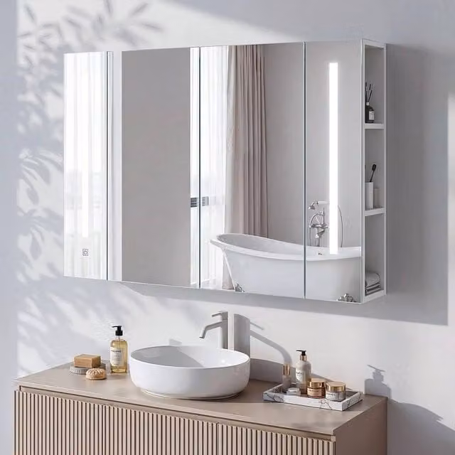 FORGEVIO Modern Wall Mounted Double Door LED Bathroom Mirror Cabinet in Silver