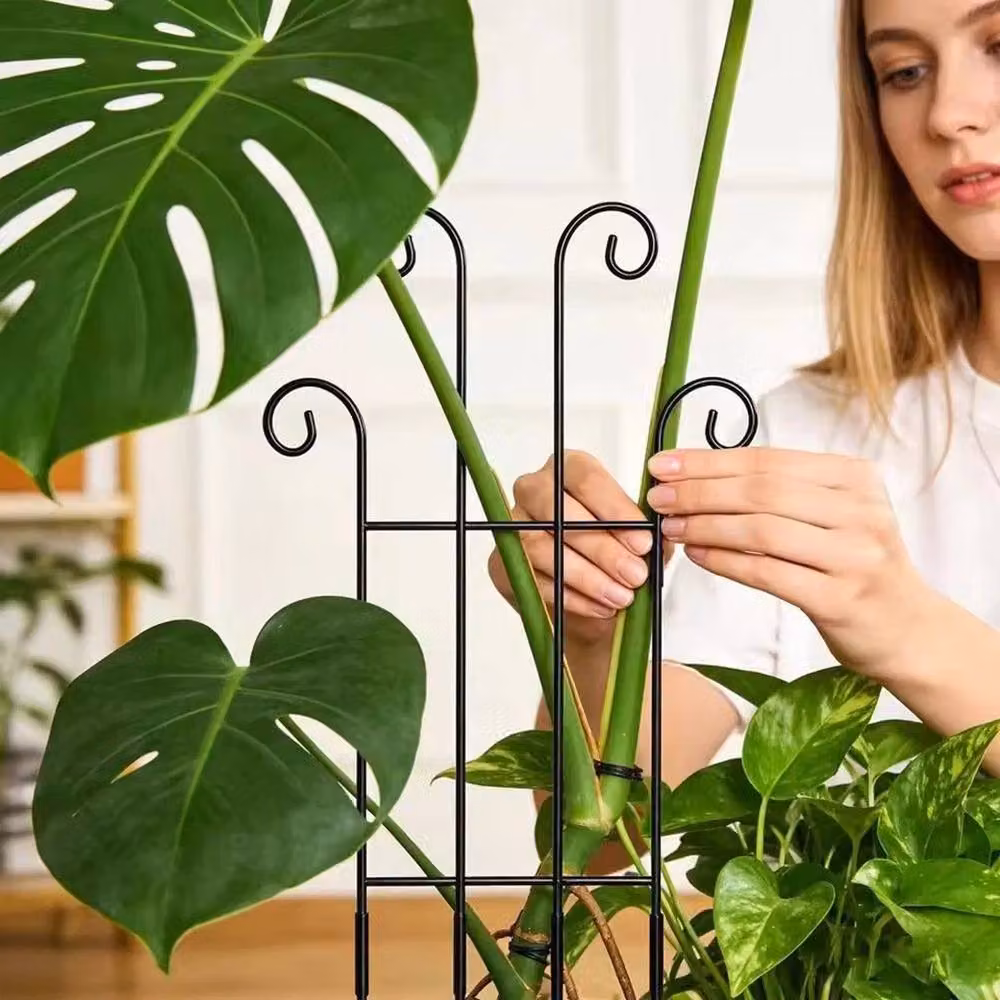 Spetlek Set of 4 Stackable Metal Plant Trellis Supports for Indoor Climbing Plants in Black – 2