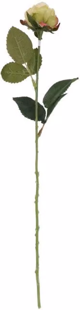KDMD Diamond Rose Light Green, 10 Pack, 40 cm