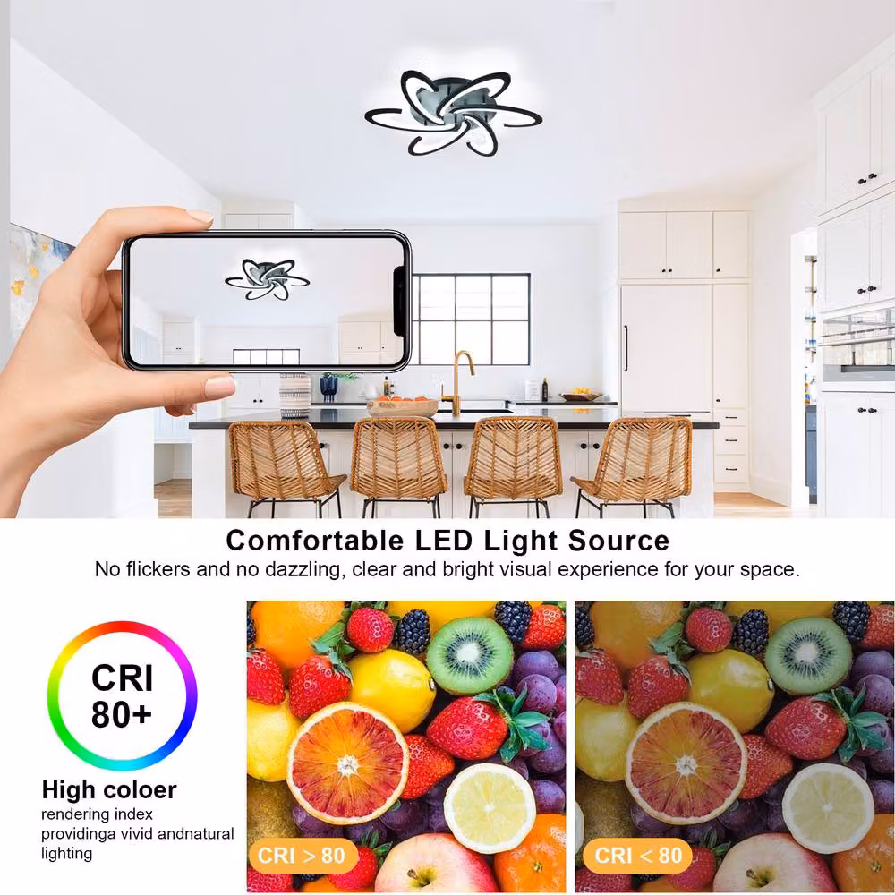 Pheashine Modern Dimmable LED Ceiling Light with Remote Control, Black Acrylic – 2