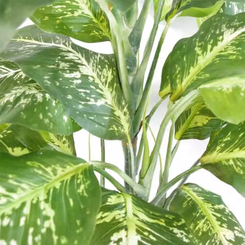 Large Fox Aglaonema Artificial Tree with Metal Planter, Green, Height: 100 cm – 5