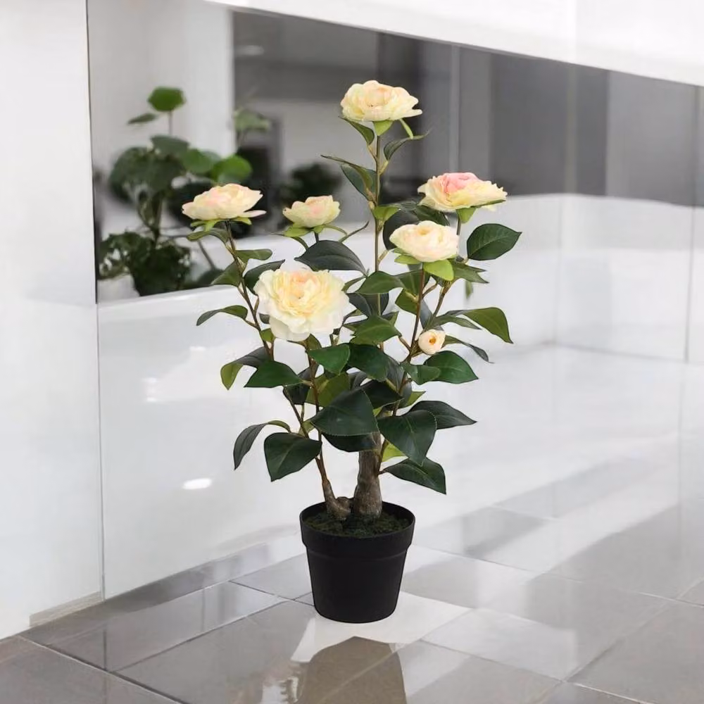 Minster Artificial Camellia Potted Plant in Green, W: 50 cm, D: 50 cm, H: 58 cm – 4