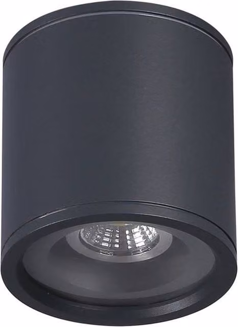 Netlighting Tormi Black Outdoor Surface Mounted Downlight IP54 – 1