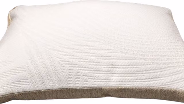 Woohoo Cloud ViscoGel Pillow in Off White