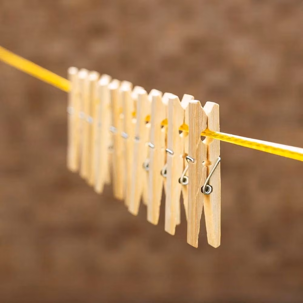 FLAVORA 100 Pack Natural Bamboo Clothes Pegs in Brown and Beige – 4