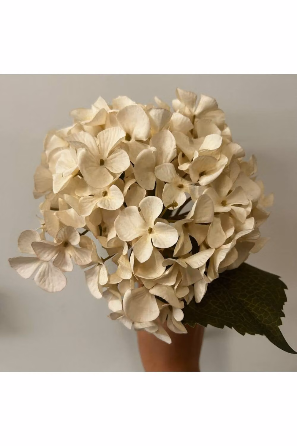 KDMD Balmoral Cream and White Hydrangea Floral Arrangement, 2 Pack, Height: 45 cm – 2