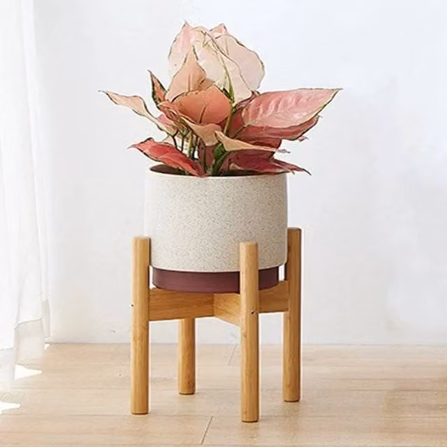 KORVIXA Adjustable Bamboo Plant Shelf in Beige with Mid-Century Design