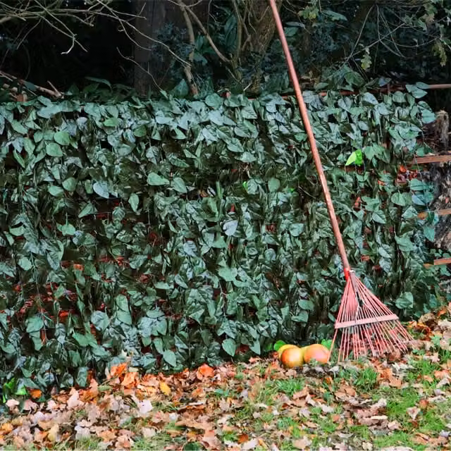 Primrose Artificial Ivy Leaf Hedge Roll Screening, Green, W/H: 100 x 100 cm