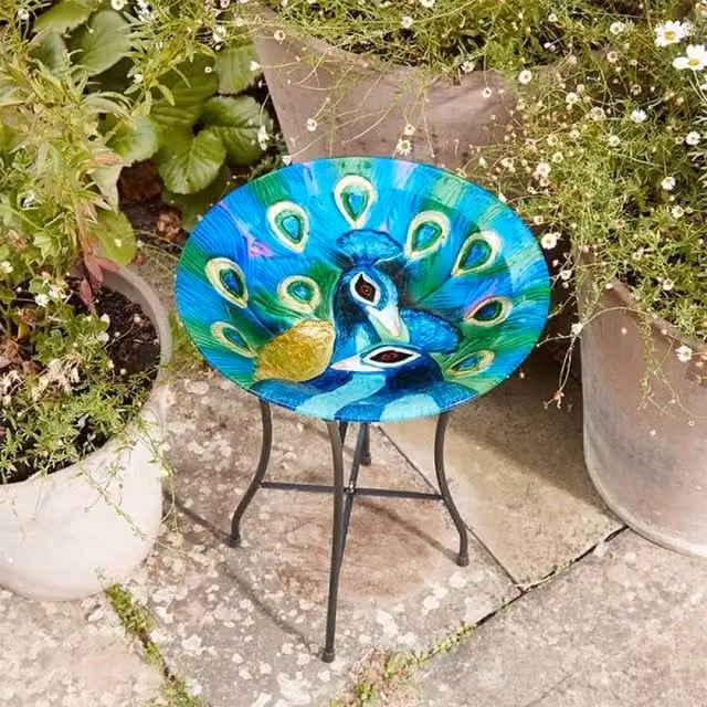 Garden Mile Peacock Glass Birdbath in Blue and Multicolour