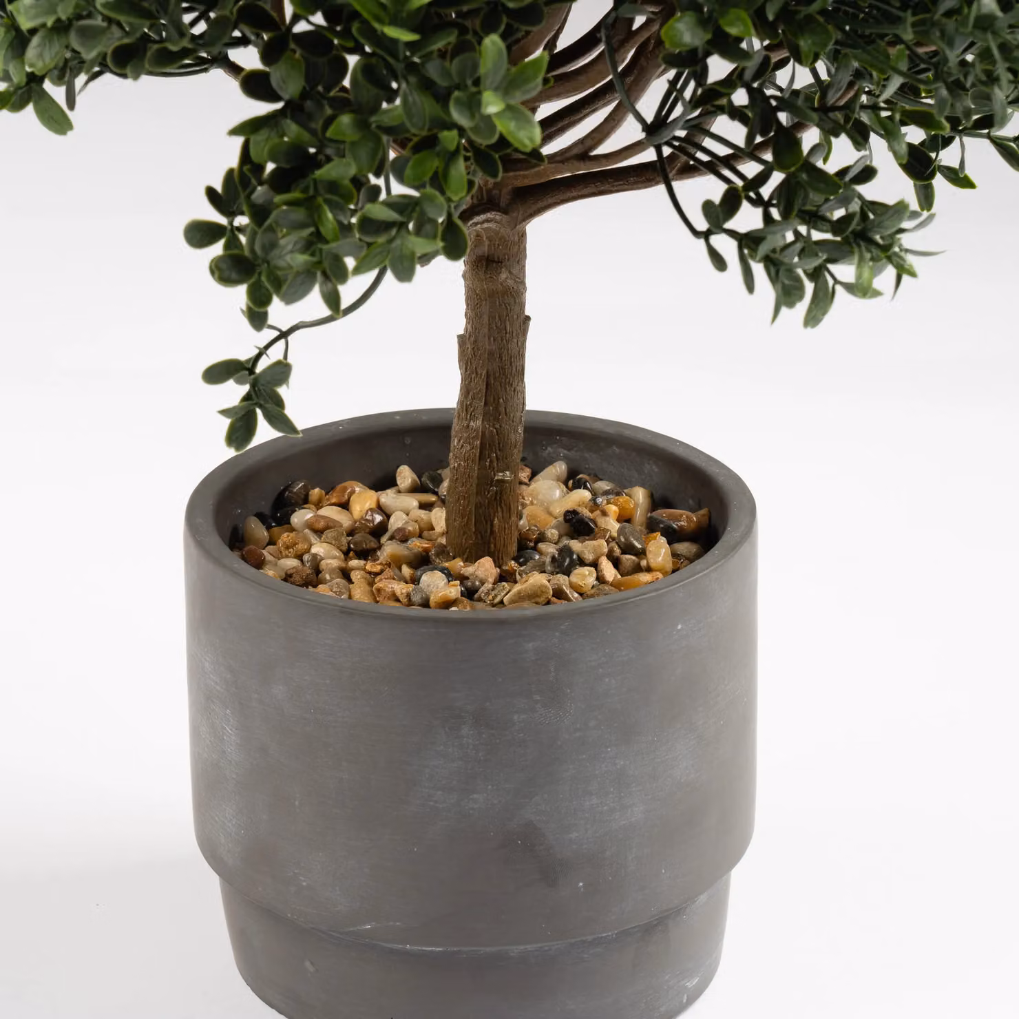 Scottish Everlastings Ltd Green Mini Topiary Tree in a Round Concrete Pot, Height: 45 cm – 2