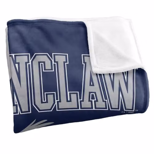 LOGOVISION Harry Potter Ravenclaw Arched Raven Super Soft Silky Touch Fleece Throw Blanket, Multicolour, W: 127 cm, D: 152.4 cm – 2