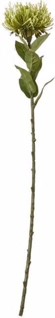 KDMD Green Protea Lorea Faux Floral Stem – 1