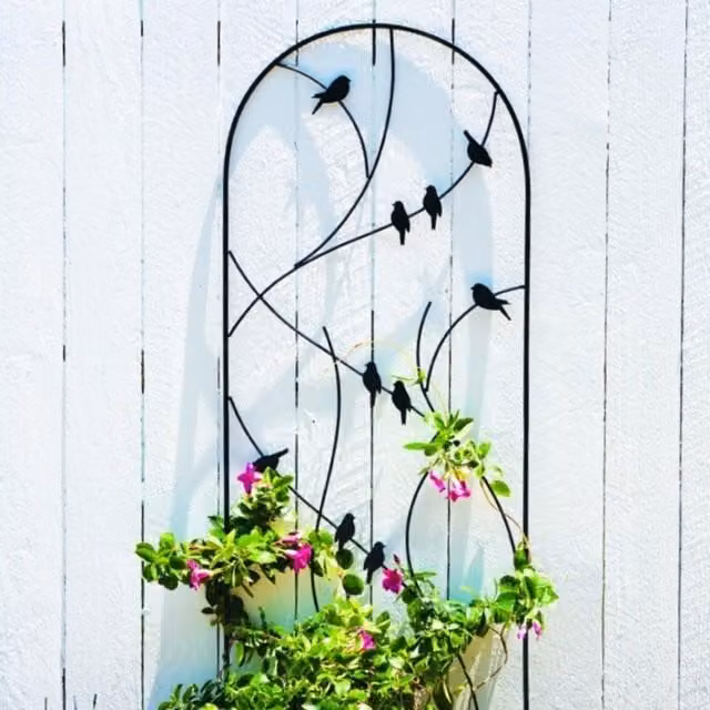 Primrose Black Galvanised Steel Perching Birds on a Branch Design Trellis Plant Support