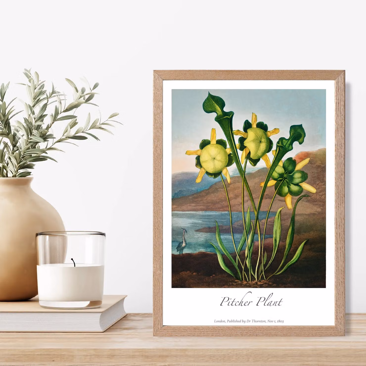 ARTZE Vintage Floral Pitcher Plant Framed Botanical Print with Oak Frame, Yellow/Green/Brown/Multicolour, A2 – 2