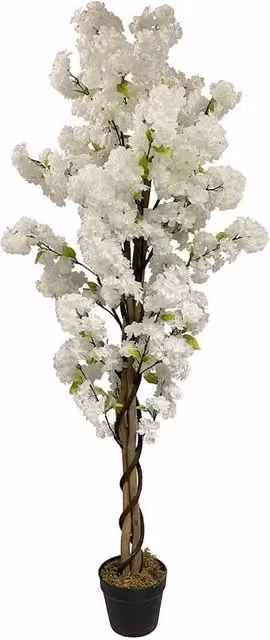 Leaf Design UK White Cherry Blossom Artificial Tree, Height: 150 cm