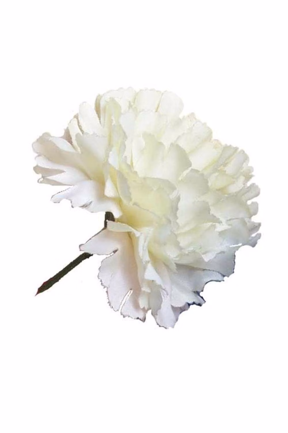 KDMD Ivory White Carnations 2 Pack of 12 Stems – 2