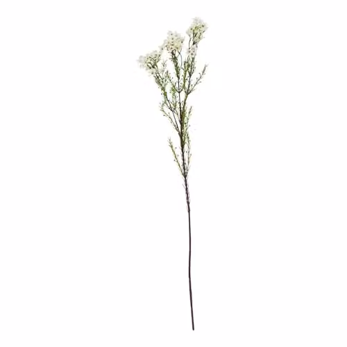 Hill Interiors Natural Garden Collection Waxflower Artificial Flower in White and Green
