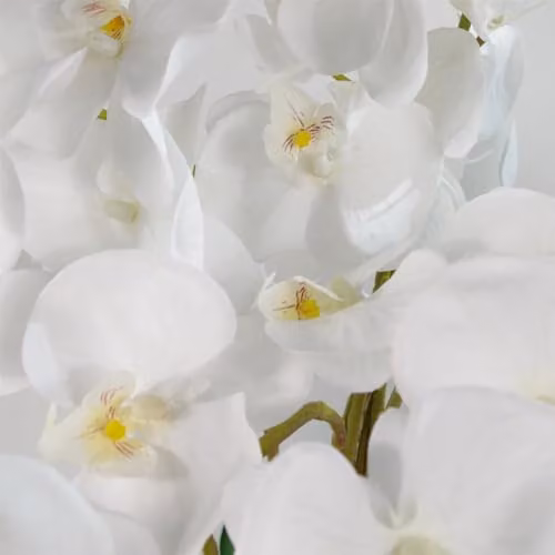 Leaf Design UK Artificial Deluxe Potted Orchid in White, Height: 85 cm – 2