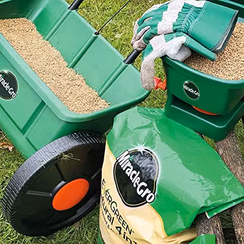Miracle-Gro Natural 4 in 1 Lawn Feed, Weed and Moss Preventor Granulate for 175 m2 – 3