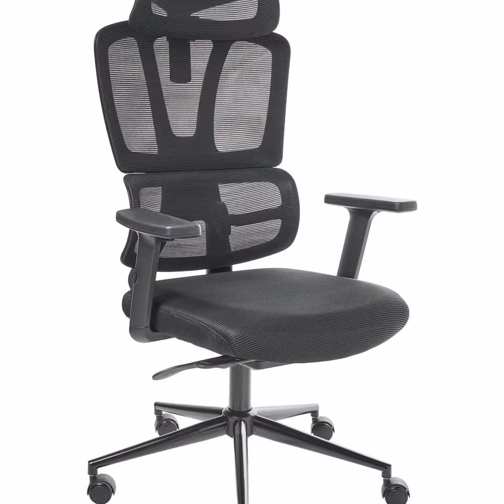Wyld and Coco Black Mesh Ergonomic Office Chair with Adjustable Headrest and Seat Depth – 2