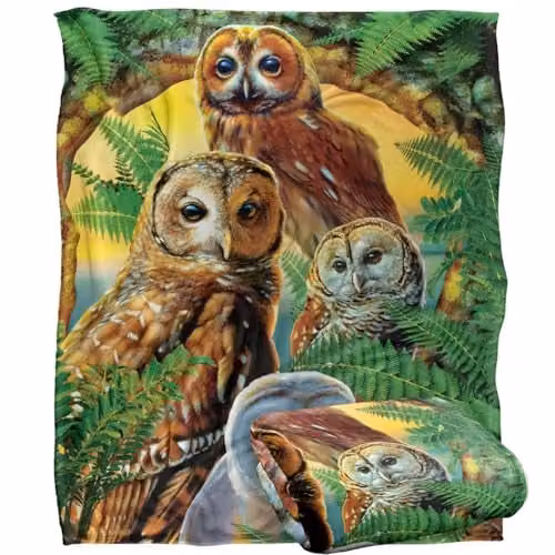 JQ Licensing Owl Collage Silky Touch Super Soft Fleece Throw Blanket, Multicolour, W/D/H: 152 x 127 cm – 1