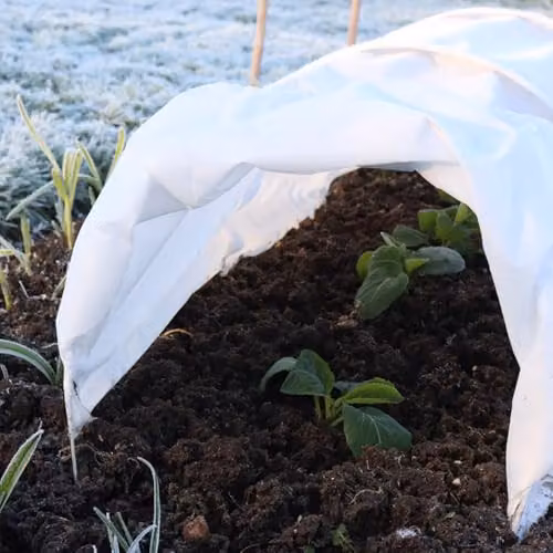 YouGarden Frost Protection Fleece Rolls, White, 3 x W: 1 m x L: 15 m – 1