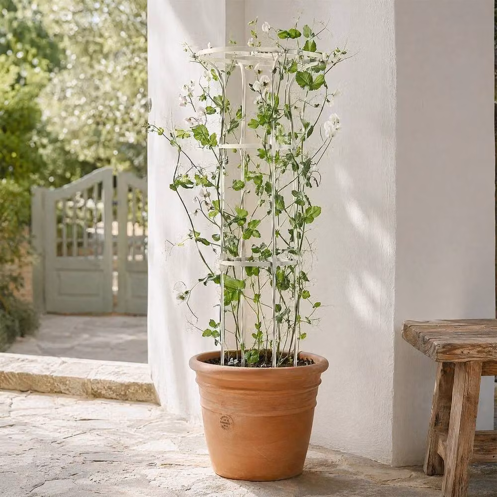 Kelvenix White Metal Umbrella Garden Plant Support, H: 180 cm, W: 50 cm, D: 50 cm – 2