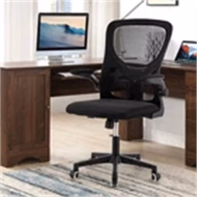 Nordara Ergonomic Fabric Office Chair with Adjustable Headrest and Armrests in Black