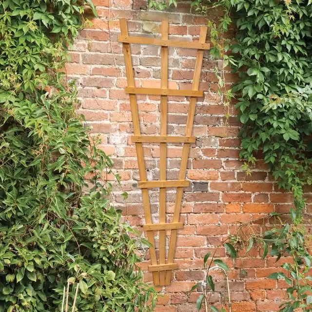 Forest Garden Brown Wood Fan Wall Trellis for Climber Support