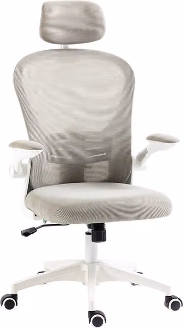 Vinsetto Multi-Adjustable Ergonomic Office Chair with Headrest and Lumbar Support, Grey