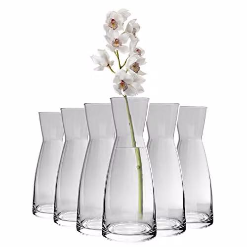 Bormioli Rocco Ypsilon Glass Carafes, 550ml, Pack of 6, Transparent
