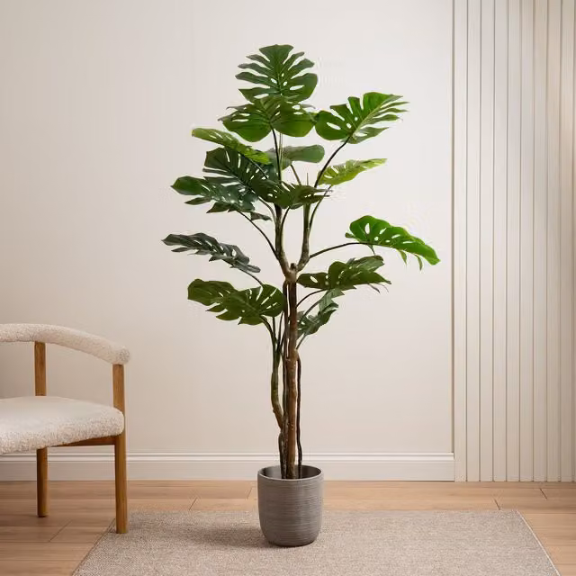 Scottish Everlastings Ltd 160cm Real Touch Monstera in Green and Black – 1