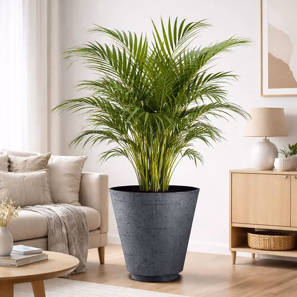 Simpa Hudson Textured Effect Plastic Planter Set of 2 in Grey – 3