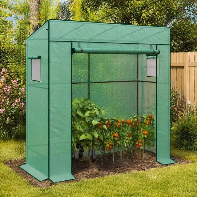 STILVORA Green Walk-In Greenhouse with Windows, W/D/H: 77 x 77 x 196 cm