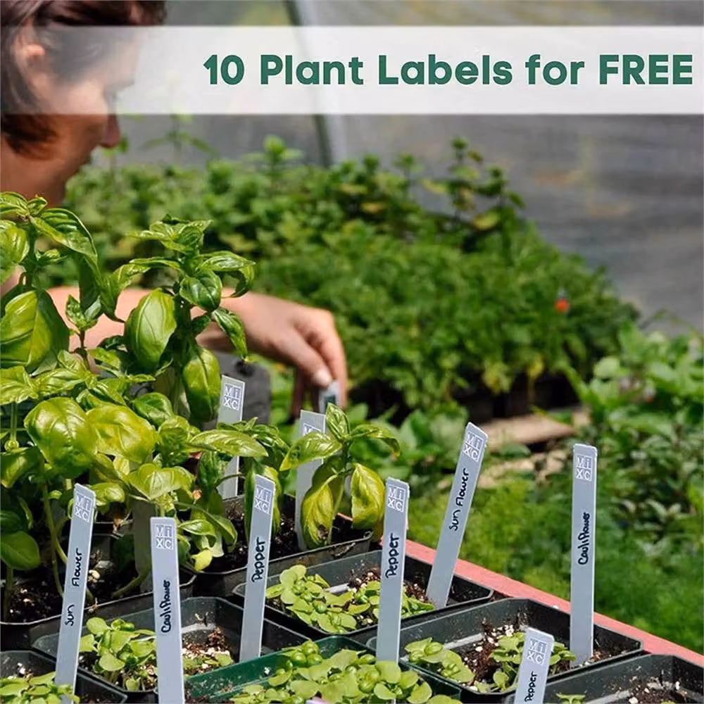 Nordara 5 Pack Green Plastic Seed Starter Trays with 60 Holes for Plant Germination – 5
