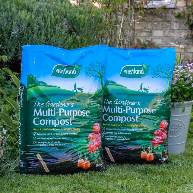 Westland The Gardeners Multi-Purpose Compost with 4-5 Weeks Enriched Feed, 15 kg