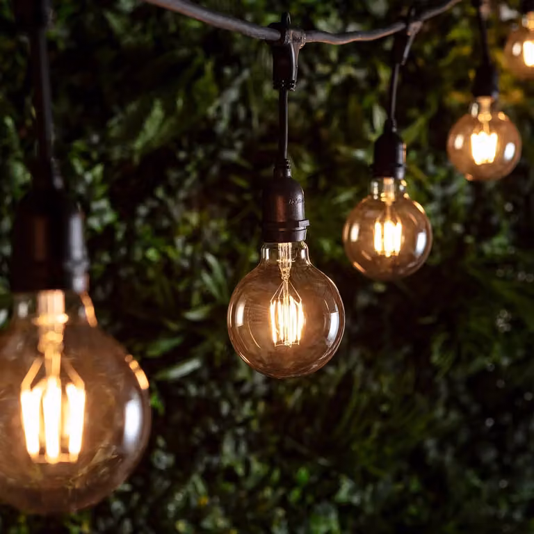 Ingenious Connect 10 Large LED Globe Bulb Festoon Light Bundle with Warm White Transparent Glass Spheres