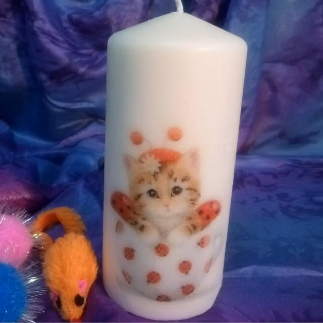 Viki Adorable Kittens White Pillar Candle Set of 4