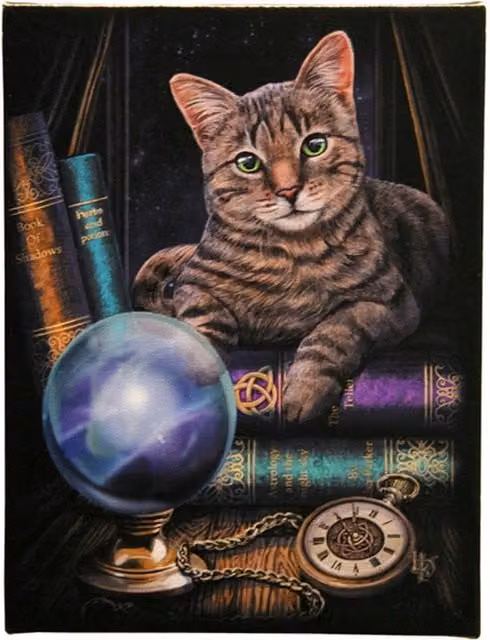 Lisa Parker Fortune Teller Canvas Plaque, Blue and Multicolour, W: 19 cm, H: 25 cm