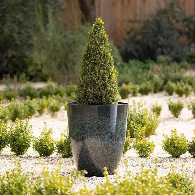 Primrose Green Plastic Ornamental Garden Planter Tub