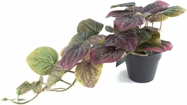 Leaf Design UK Realistic Artificial Purple Potted Pothos Plant, Height: 35 cm – 1