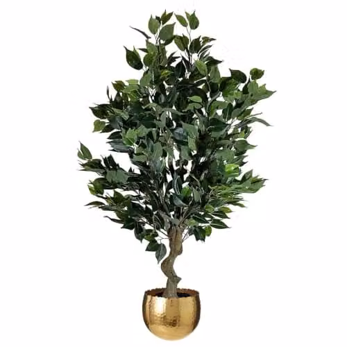 Leaf Realistic Artificial Ficus Tree with Gold Curve Planter, Green and Gold, Height: 100 cm