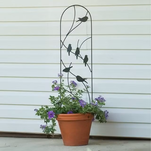 Primrose Black Metal Perching Birds Potted Plant Trellis and Climber Support