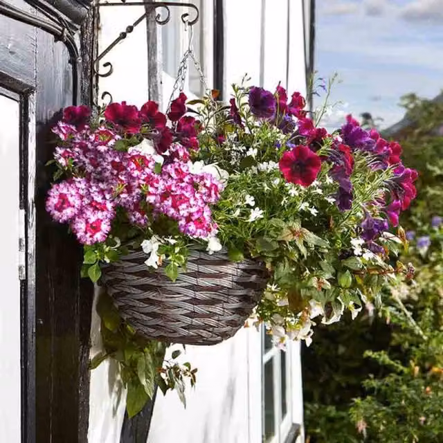 Garden Mile Pinto Faux Rattan Hanging Basket, Brown, Diameter: 35.56 cm
