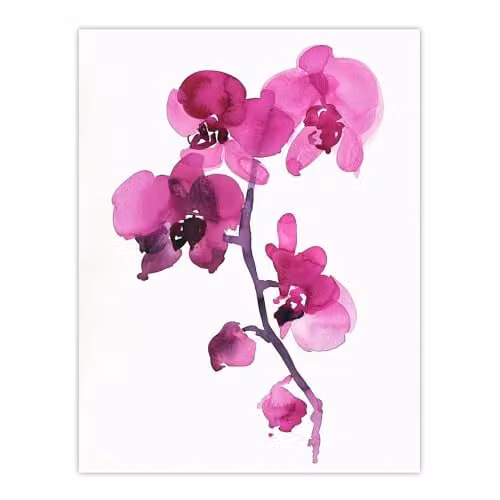 Artery8 Pink Orchid Abstract Floral Watercolour Wall Art Poster Print on Thick Paper, W: 46 cm, H: 61 cm